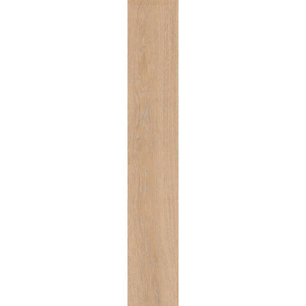 Sunset Maple